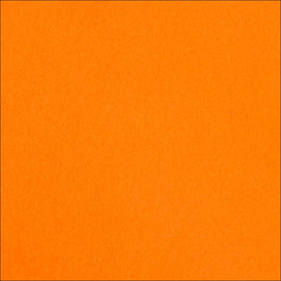 Electric Orange Solid Leash