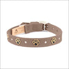 Embroidered Paws Collar with Studs - Collars