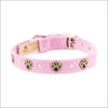 Embroidered Paws Collar with Studs - Collars