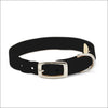 Embroidered Paws Collar with Studs - Collars