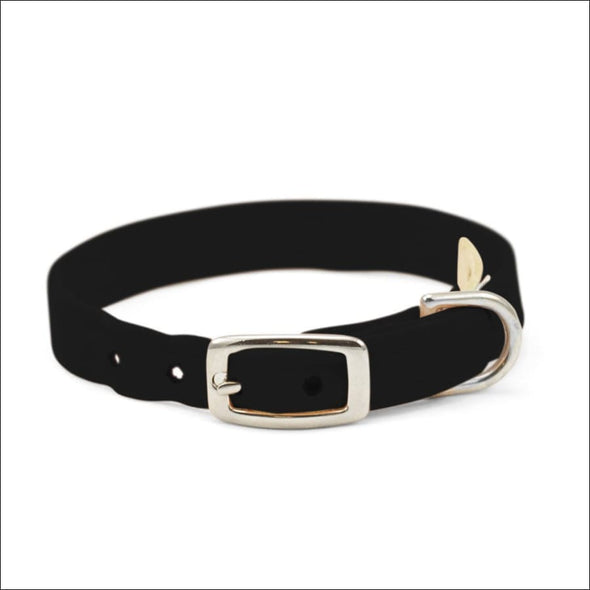 Embroidered Paws Collar with Studs - Collars