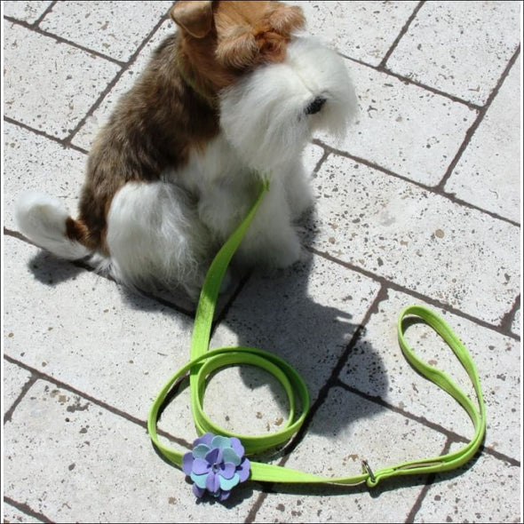 Emma Leash