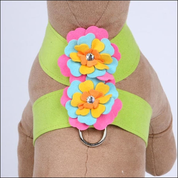 fantasy-flower-tinkie-harness-teacup-6-8-kiwi-499
