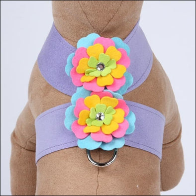 fantasy-flower-tinkie-harness-teacup-6-8-kiwi-499