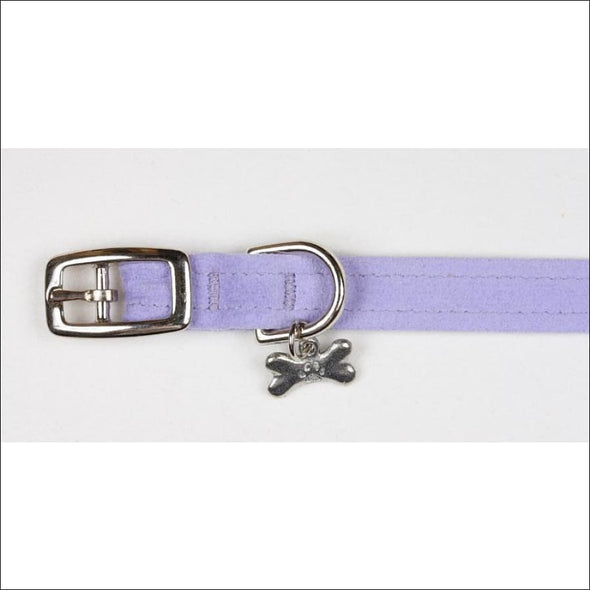French Lavender Collar - Collars