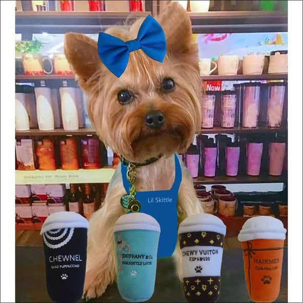 Hairmes Cafe Paw Lait By Dog Diggin Desings - Designer Dog 