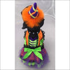 Halloween Neon Orange Witch Pet Costume - Pet Costume