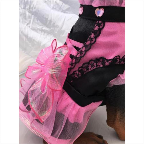 Halloween Pink Pompom Dog Costume - Pet Costume