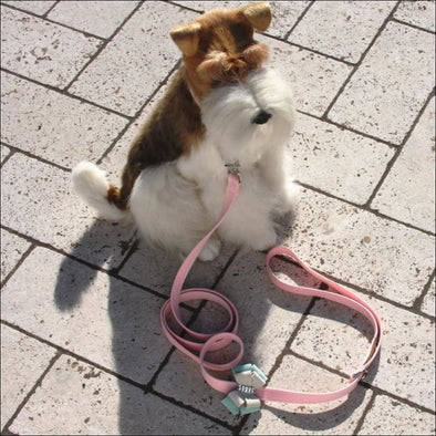 Hope Leash