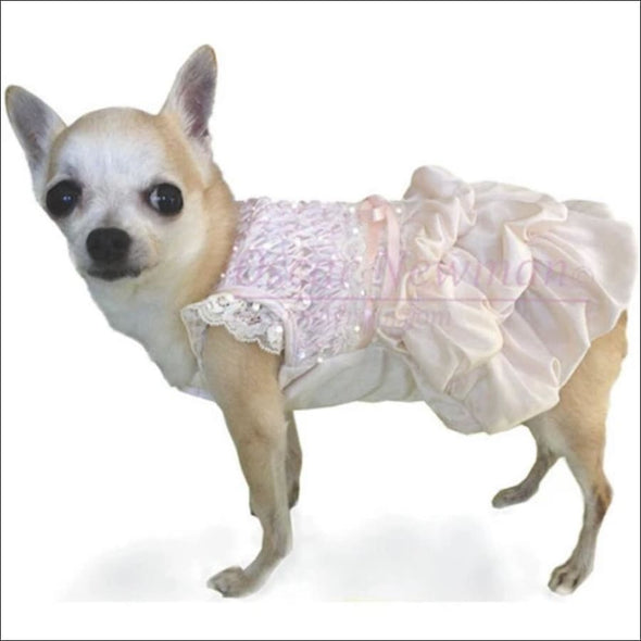 I Dream of Maggie,Hand-Smocked Dog Dress,Oscar Newman,I Dream of Maggie Hand-Smocked bubble dress,dog dress,fancy dog dress,dog tutu,pink dog dress,pink dog tutu,dog dresses,fancy dog dresses,dog tutu dress,pink dog dresses,dog tutus,oscar newman dress,oscar newman dog,designer dog,cute dog clothes,