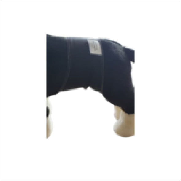 Jack & Jill Male Belly Band – Black Style #2 - Dog Diaper 