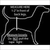 Jack & Jill Male Belly Band –Bones & Bowls Grey Style #1 - 