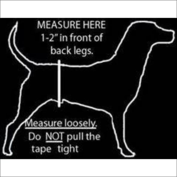 Jack & Jill Male Belly Band –Bones & Bowls Red Style #1 - 