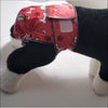 Jack and Jill Reusable Dog Diaper Without Tail Opening- 