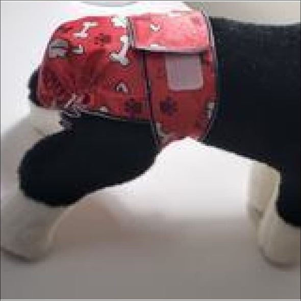 Jack and Jill Reusable Dog Diaper Without Tail Opening- 