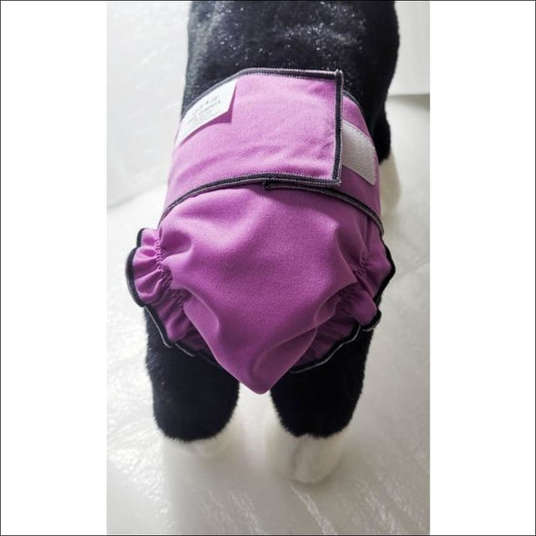 Jack and Jill Reusable Dog Diaper Without Tail Opening - Dog