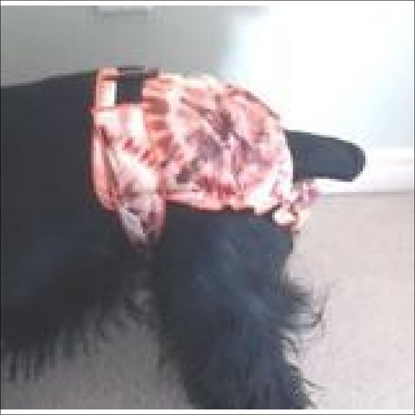Jack & Jill Tie Dye Reusable Female Dog Diaper Opening-Brown