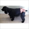 Jack & Jill Tie Dye Reusable Female Dog Diaper Opening-Brown