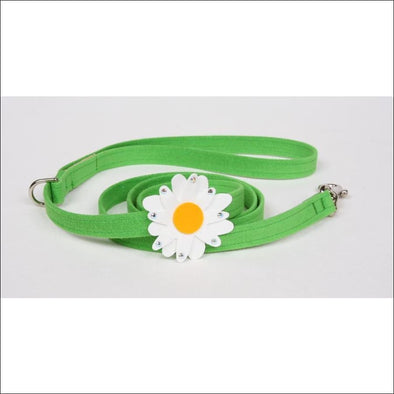 Large Daisy Leash