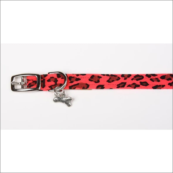 Mango Cheetah Collar - Collars