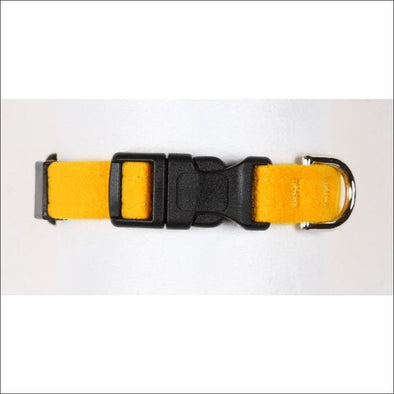 Marigold Quick Release Collar