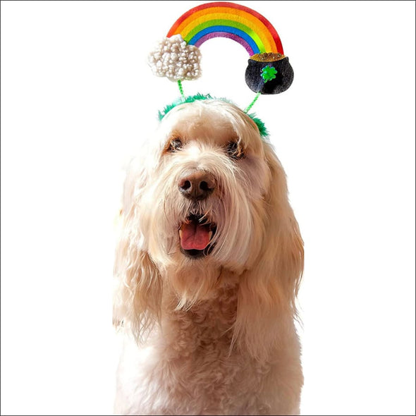 Midlee ST. Patrick’s Rainbow Pot Of Gold Dog Headband - 