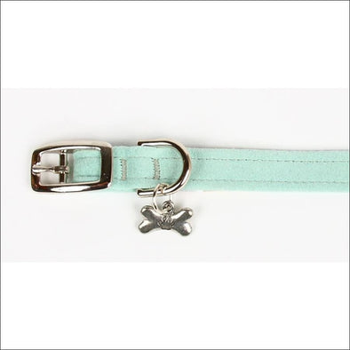 Mint Collar - Collars