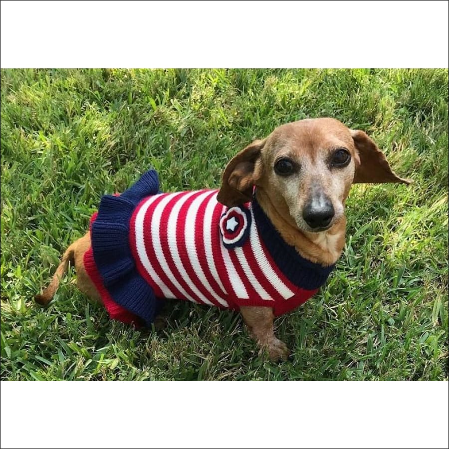 Patriotic deals dog dress