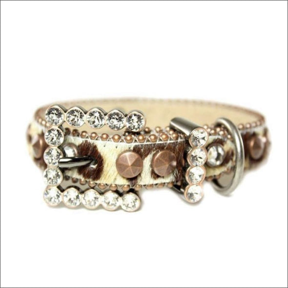 bb simon collar,b b simon collar,b b simon,b b simon dog,b b simon dog collar,dog collar,crystal dog collar,fancy dog collars,designer dog collars,swarovski dog collar,crystal pet collar,crystal pet collars,collars for dogs,bling dog collar,leather dog collar,black dog collar,black pet collar, b.b. simon dog collars sale, b.b. simon dog collar size chart,bb simon dog collar small,bb simon belt dog collar,b.b. simon dog collars sale,	b b simon collars amazon,bb simon dog collars ebay, bb simon Leopard