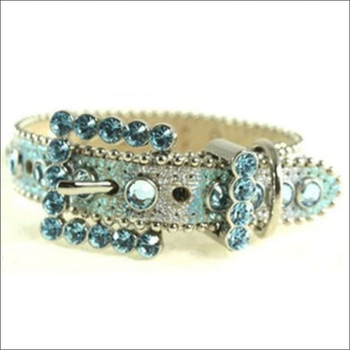 NEW-B. B. Simon Dog Collar -Light Blue And Silver Dog Collar