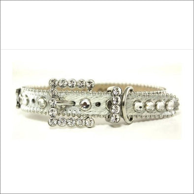 b b simon collar,b b simon,b b simon dog,b b simon dog collar,dog collar,crystal dog collar,fancy dog collars,designer dog collars,swarovski dog collar,crystal pet collar,crystal pet collars,collars for dogs,bling dog collar,leather dog collar,black dog collar,black pet collar, b.b. simon dog collars sale, b.b. simon dog collar size chart,bb simon dog collar small,bb simon belt dog collar,b.b. simon dog collars sale,	b b simon dog collars amazon,bb simon dog collars ebay.bb simon white