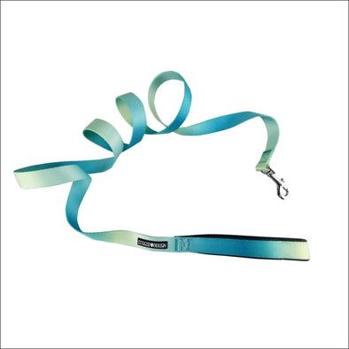 NEW-Doggie Design American River Ombre Dog Leash - Aruba 