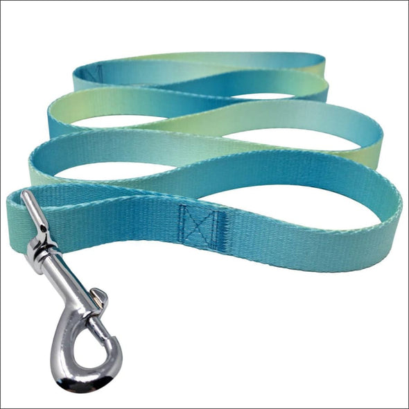 NEW-Doggie Design American River Ombre Dog Leash - Aruba 