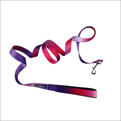NEW-Doggie Design American River Ombre Dog Leash - Raspberry