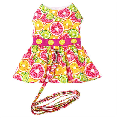 NEW- Doggie Design Citrus Slice Dog Dress with Matching 