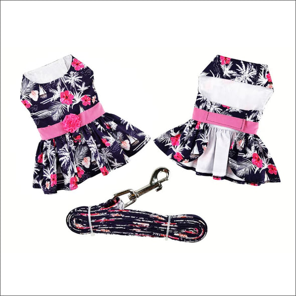 NEW-Doggie Design Moonlight Sails Dog Dress with Matching 