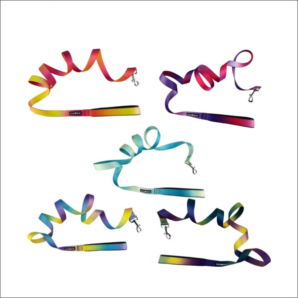 Doggie Design Ombre American River Choke Free Harnesses - 