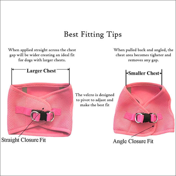 Doggie Design Ombre American River Choke Free Harnesses - 