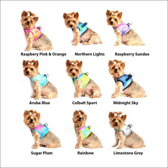 Doggie Design Ombre American River Choke Free Harnesses - 