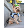 Doggie Design Ombre American River Choke Free Harnesses - 