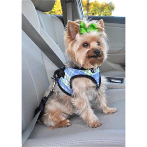 Doggie Design Ombre American River Choke Free Harnesses - 