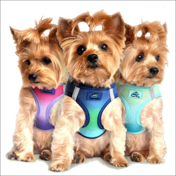 Doggie Design Ombre American River Choke Free Harnesses - 