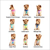Doggie Design Ombre American River Choke Free Harnesses - 