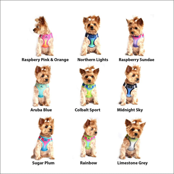 Doggie Design Ombre American River Choke Free Harnesses - 