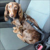 NEW-Doggie Design Seat Belt Strap Dog Car Leash - Seat Belt