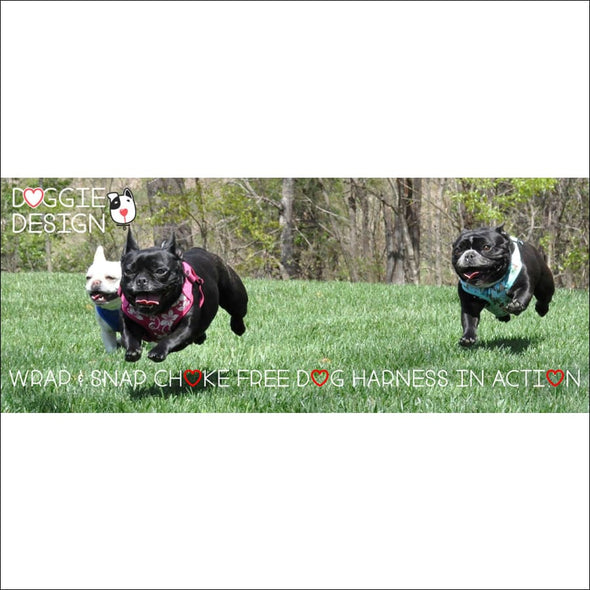 NEW-Doggie Design Solid Color Mesh Wrap and Snap Choke Free 