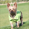 NEW-Doggie Design Solid Color Polo - 100% Cotton - Designer 