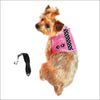 NEW-Doggie Design Sunglasses Pink and Black Cool Mesh Velcro