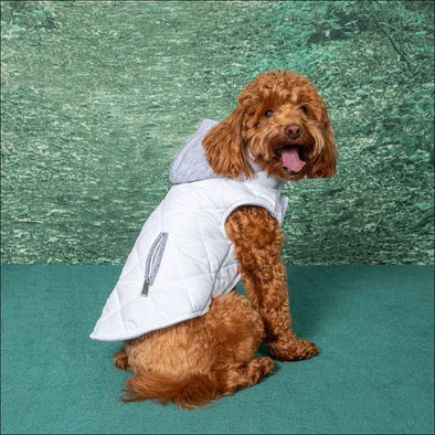 NEW-Doggie Design Weekender Dog Sweatshirt Hoodie - White - 