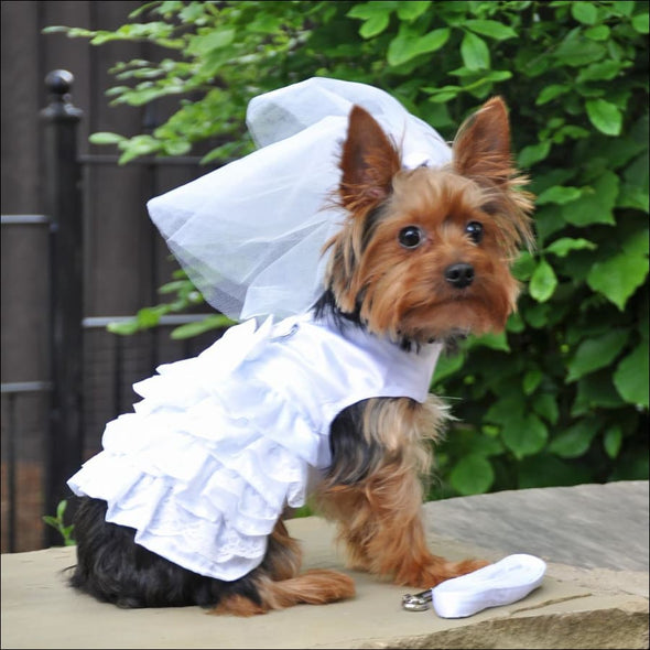 NEW-Doggie Design White Satin Wedding Dress Headpiece Leash 